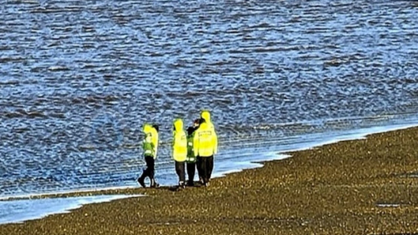 Último momento: encontraron el cuerpo del joven que se había arrojado desde el puente Mosconi